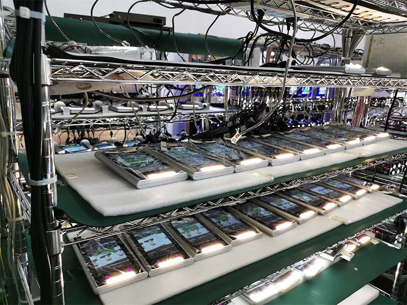 62ef2b442abc9.jpg 11.jpg